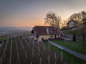 Vineyard cottage Hočevar